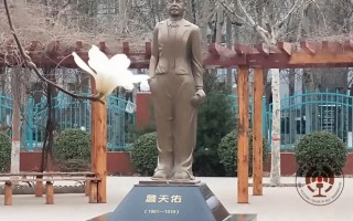 轨道交通运输学院,培养未来交通精英，引领行业发展新篇章