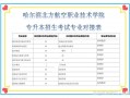 哈尔滨航空乘务专业-哈尔滨航空乘务专业大学排名？