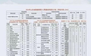 护理高等专业学校，护理高职院校