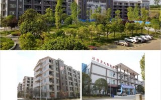 阆中师范学校招生电话_阆中师范学校官方网站询问