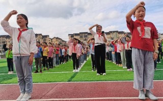 空乘学校专业，空乘学校专业有哪些