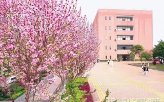 三河职业技术学院是正规的吗，三河职业学院简介