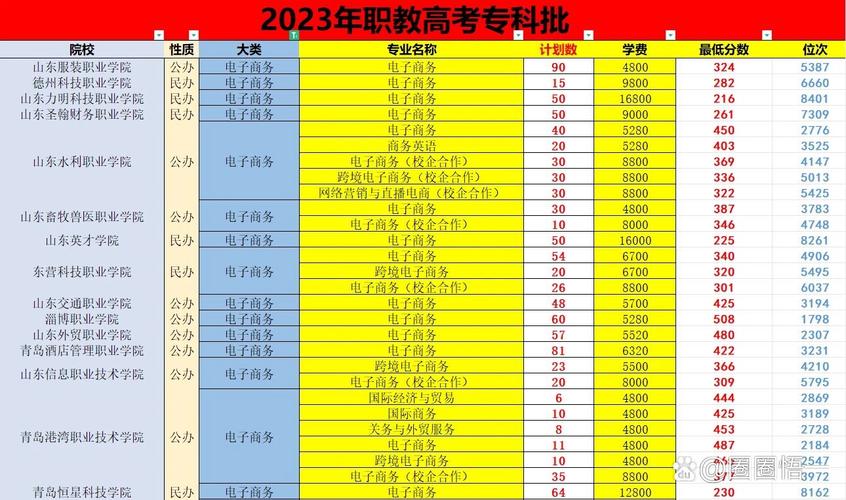 电子商务专业的专科学校，电子商务专业专科学校排名山东-第3张图片-职教招生网