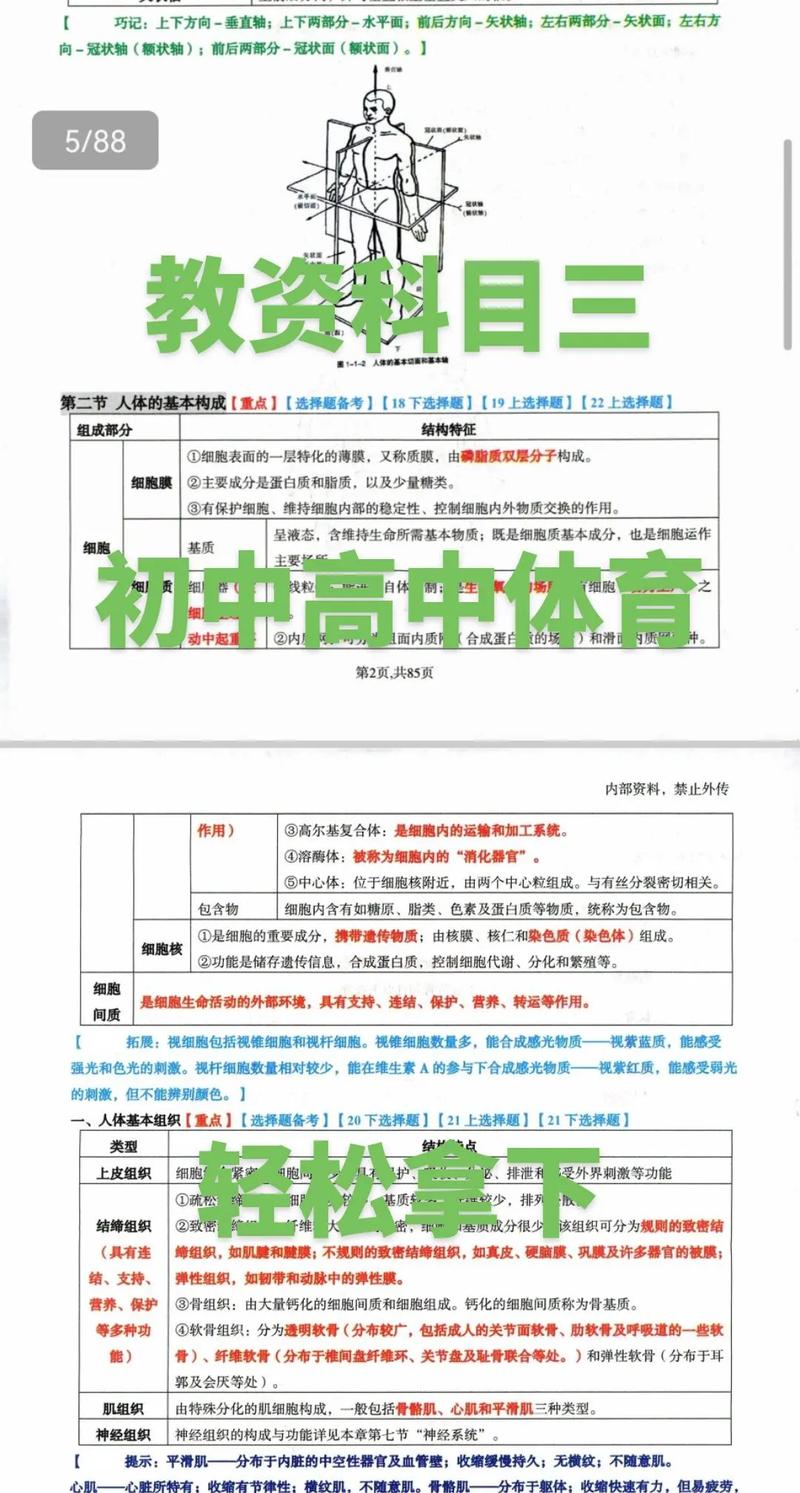 高中有体育吗_高中有体育特长生吗-第2张图片-职教招生网