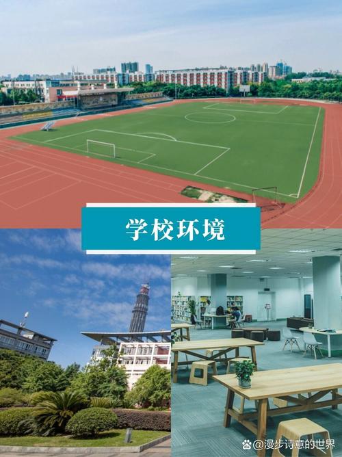 四川城市技师学院录取分数线-四川城市职业学校录取？-第1张图片-职教招生网