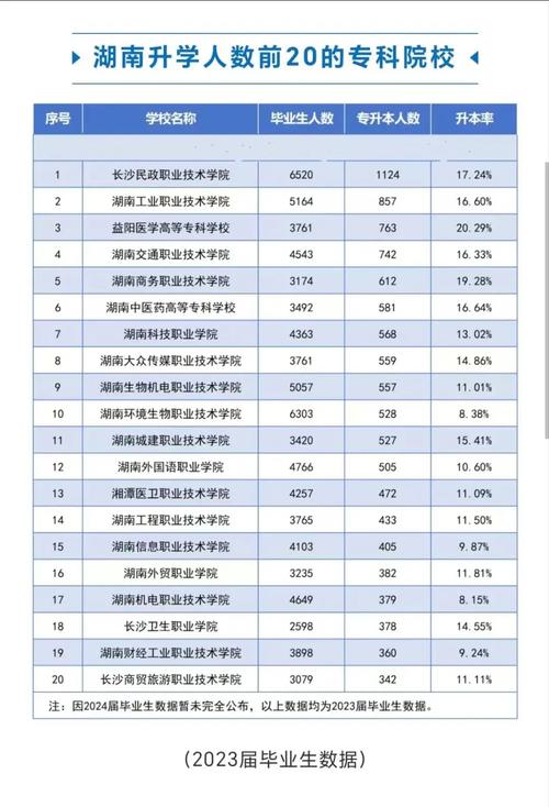 湘中幼儿师范高等专科学校招生简章,湘中幼儿师范高等专科学校招生简章2024-第5张图片-职教招生网 湘中幼儿师范高等专科学校招生简章,湘中幼儿师范高等专科学校招生简章2024-第5张图片-职教招生网