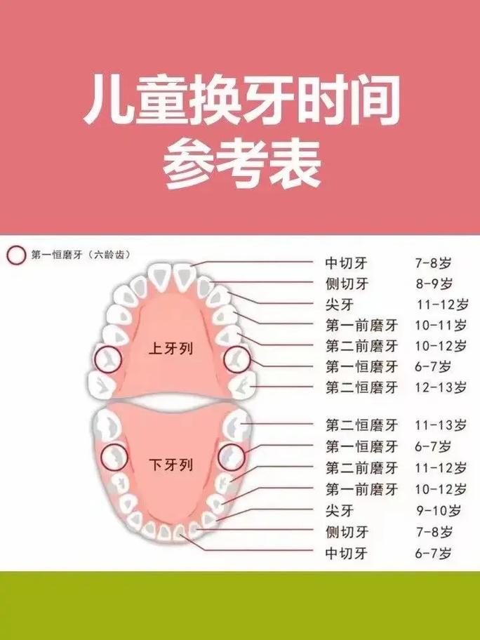 口腔相关专业_口腔相关专业理论知识有哪些-第6张图片-职教招生网