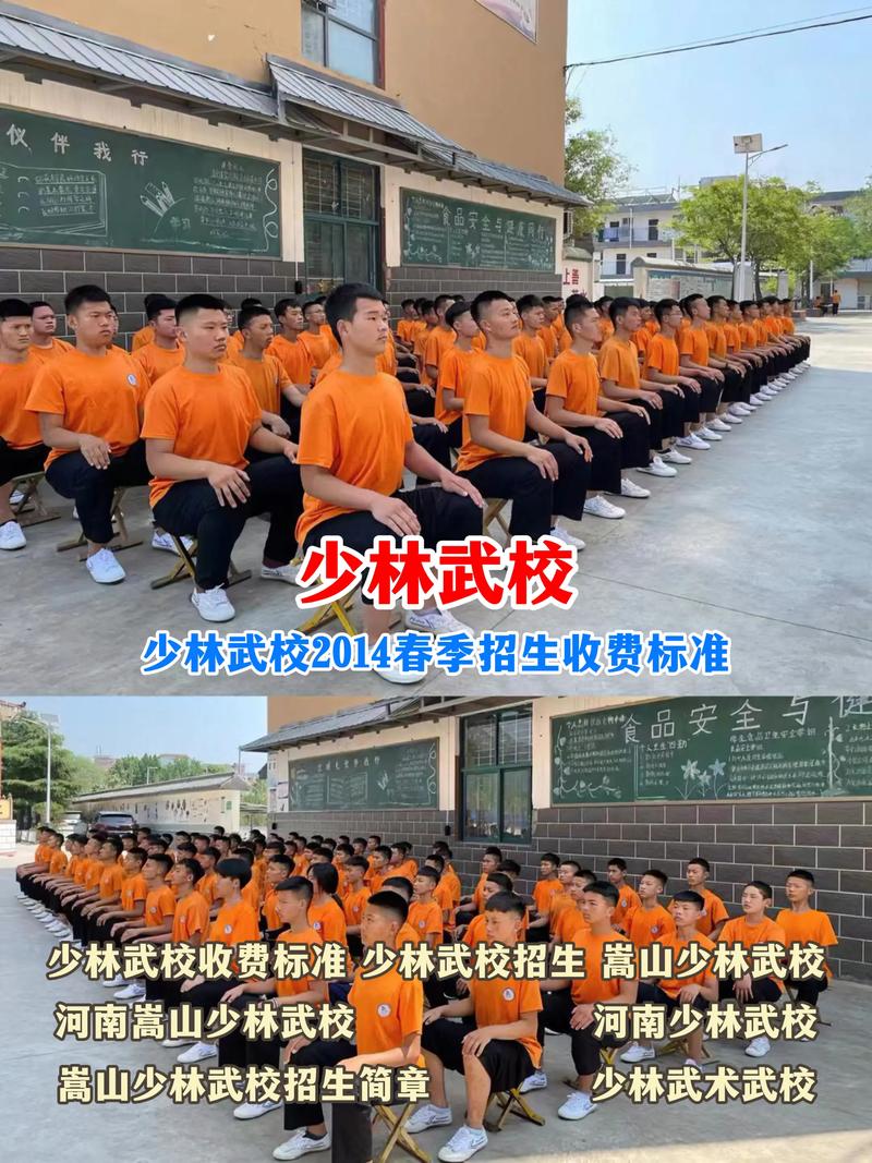 少林永智传统文武学校招生简章，少林永智传统武术学院-第1张图片-职教招生网