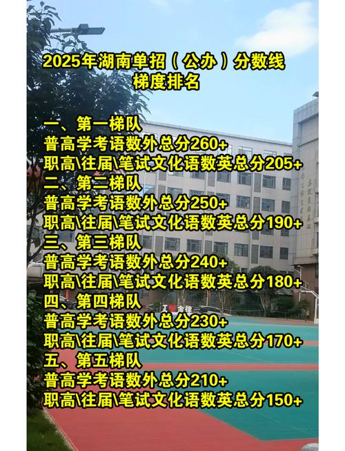 郴州技师学院招生，郴州技师学院招生简章2024年-第4张图片-职教招生网