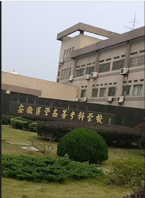 护理专业专科学校_四川护理专业专科学校-第1张图片-职教招生网 护理专业专科学校_四川护理专业专科学校-第1张图片-职教招生网