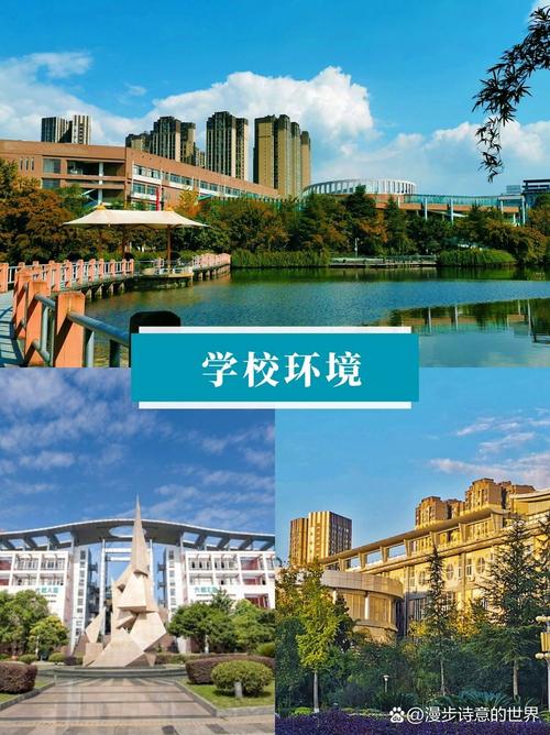 四川城市技师学校好吗,四川城市技师学校好吗知乎-第5张图片-职教招生网 四川城市技师学校好吗,四川城市技师学校好吗知乎-第5张图片-职教招生网