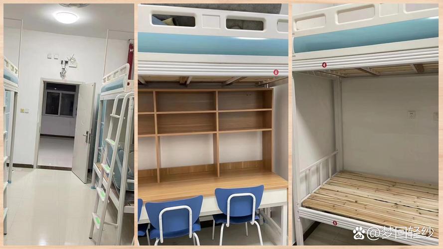 徐州幼儿师范高等专科学校是公办吗，徐州幼儿师范高等专科学校在什么区-第4张图片-职教招生网