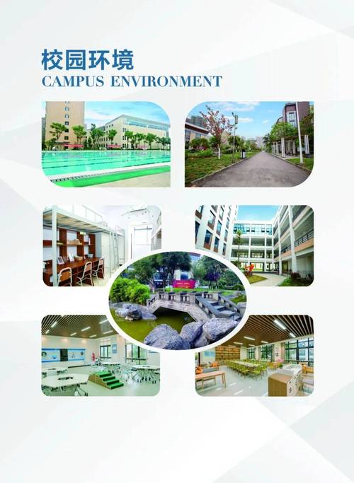 四川省志翔职业技术学校招生简章,四川省志翔职业技术学院官方网站-第3张图片-职教招生网 四川省志翔职业技术学校招生简章,四川省志翔职业技术学院官方网站-第3张图片-职教招生网