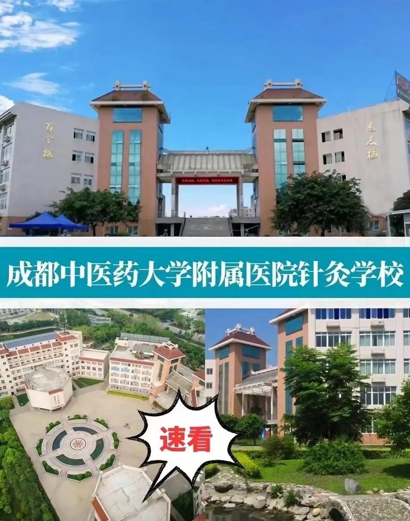 成都中医药大学针灸学校是公办吗_成都中医药大学针灸学校招生简章-第5张图片-职教招生网 成都中医药大学针灸学校是公办吗_成都中医药大学针灸学校招生简章-第5张图片-职教招生网