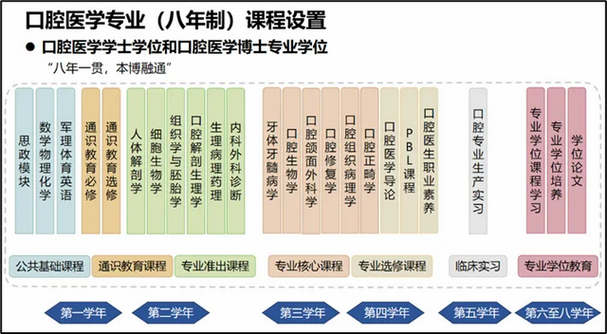 口腔是什么专业,口腔是什么专业好就业吗-第3张图片-职教招生网 口腔是什么专业,口腔是什么专业好就业吗-第3张图片-职教招生网