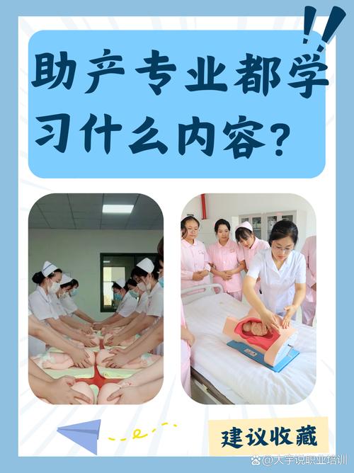 助产专业主要学什么,助产专业主要学什么工资多少-第4张图片-职教招生网 助产专业主要学什么,助产专业主要学什么工资多少-第4张图片-职教招生网